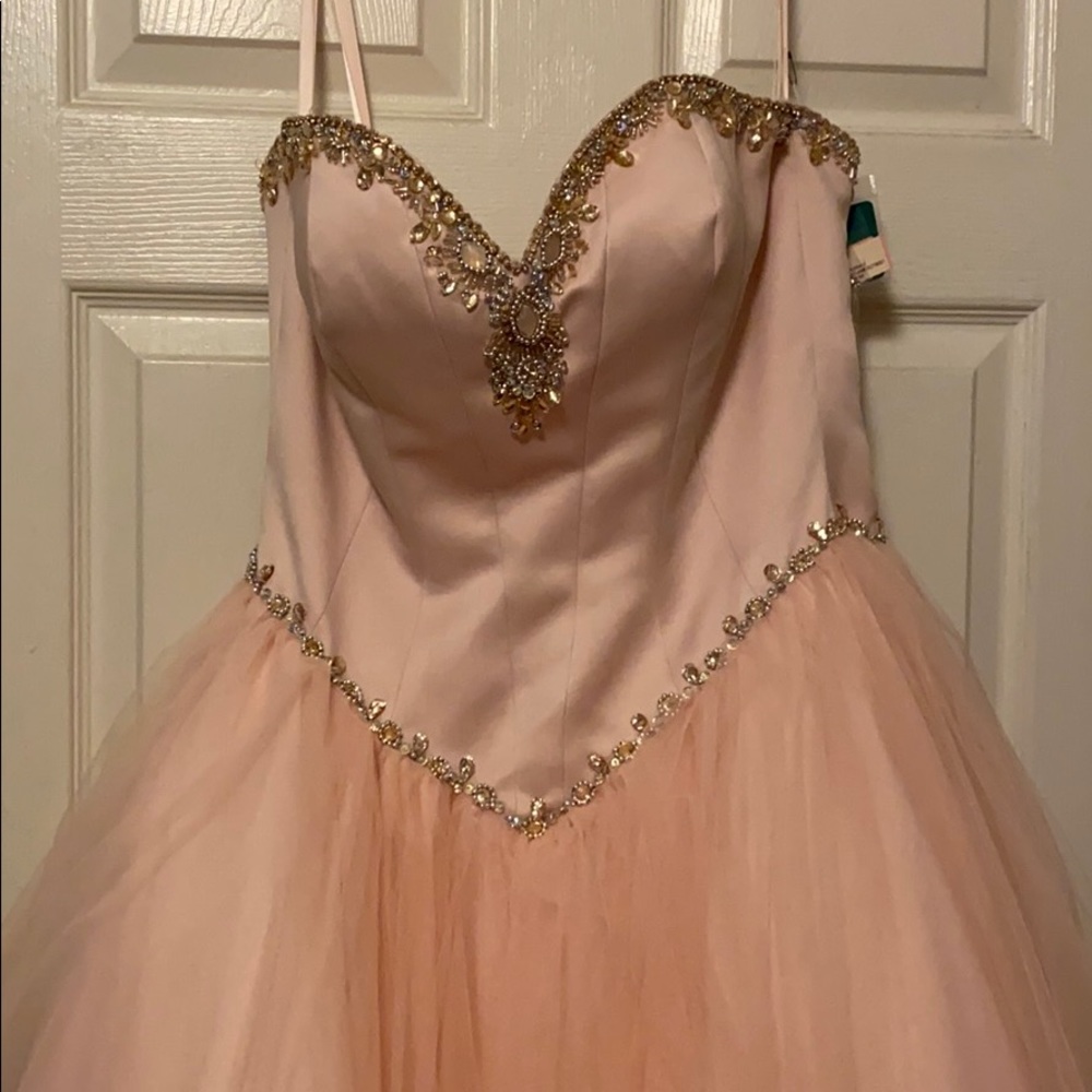 Blush Ballgown (size 10)